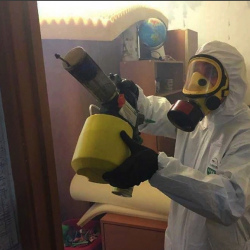 Уничтожение клопов в квартире. Измайлово